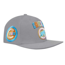 Adult Men's Chicago Cubs Pro Standard Washed Neon Snapback Hat - Gray