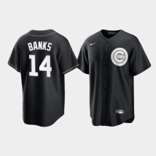 Chicago Cubs Ernie Banks Black Alternate Fashion Replica Jersey Chicago Cubs Ernie Banks Black Alternate Fashion Replica Jersey