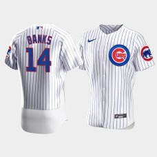 Men's Chicago Cubs #14 Ernie Banks White Authentic Nike Jersey Men's Chicago Cubs #14 Ernie Banks White Authentic Nike Jersey
