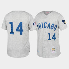 Chicago Cubs #14 Ernie Banks Cooperstown Collection 1969 Authentic Away Gray Mitchell & Ness Jersey Men's Chicago Cubs #14 Ernie Banks Cooperstown Collection 1969 Authentic Away Gray Mitchell & Ness Jersey Men's