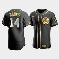 Men's Chicago Cubs Ernie Banks #14 Black Golden Edition Authentic Jersey Men's Chicago Cubs Ernie Banks #14 Black Golden Edition Authentic Jersey