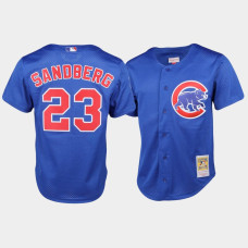 Chicago Cubs #23 Ryne Sandberg Cooperstown Collection Mesh Batting Practice Royal Mitchell & Ness Jersey Men's Chicago Cubs #23 Ryne Sandberg Cooperstown Collection Mesh Batting Practice Royal Mitchell & Ness Jersey Men's